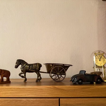 Rhododendron Bliss * סלה