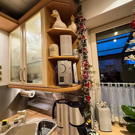 فيلة Rhododendron Bliss سيل