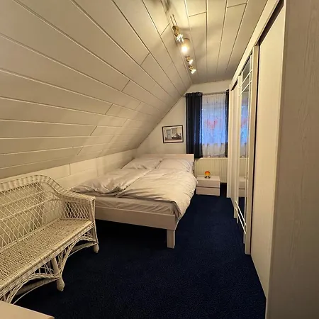 Rhododendron Bliss فيلة سيل