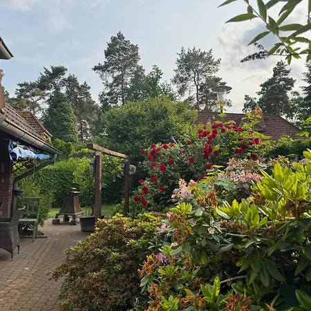 فيلة Rhododendron Bliss *