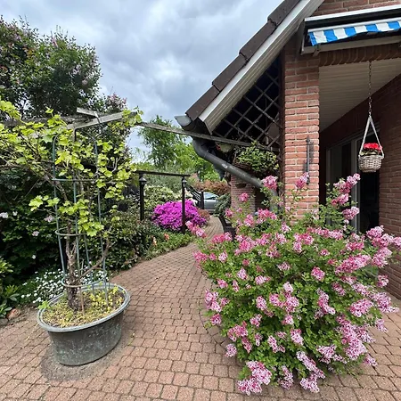 Rhododendron Bliss *