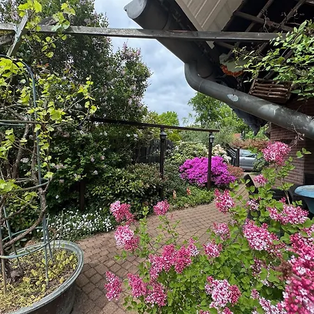 וילה Rhododendron Bliss